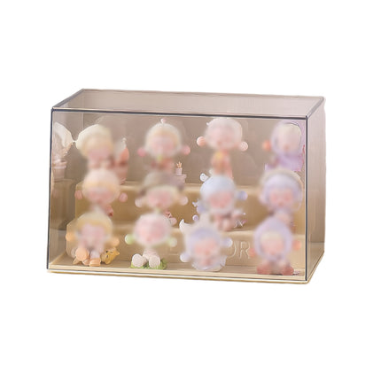 Blind Box Storage Display Rack Transparent Acrylic Collectible Display Case