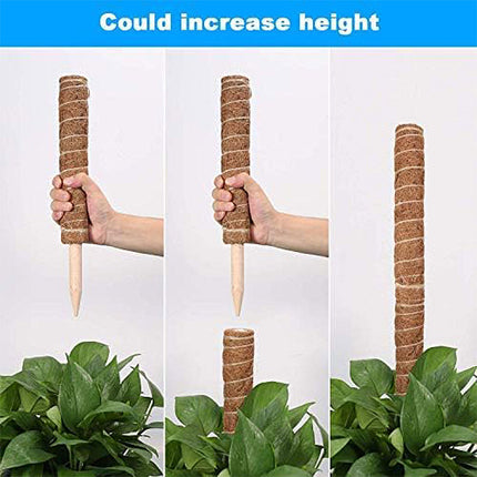 6pcs Plant Support Coir Moss Totem Pole Creeper Climbing Extension Stick Goody