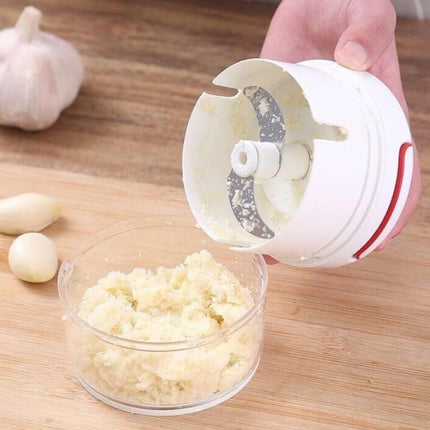 Home Mini Manual Garlic Beater Mincer Chili Ginger Meat Mash Food Prep Tool
