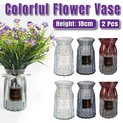 2 Pcs Glass Vase Hydroponic Flower Arrangement Vase for Living Room Decoration