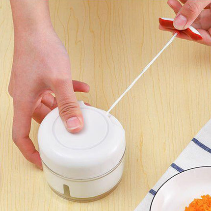 Home Mini Manual Garlic Beater Mincer Chili Ginger Meat Mash Food Prep Tool