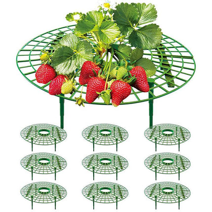 Strawberry Planting Shelf Garden Tools Vegetable Cultivation Rack Potted Stand
