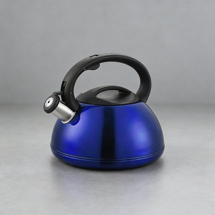 Stainless Steel Whistling Kettle Induction Heat Resistant Handle Home Tea Pot