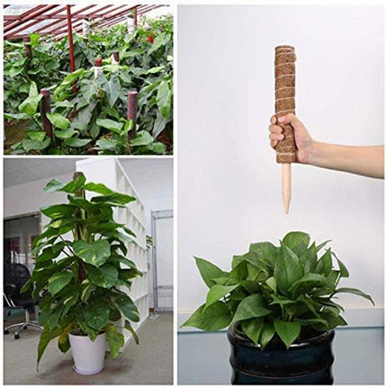 6pcs Plant Support Coir Moss Totem Pole Creeper Climbing Extension Stick Goody