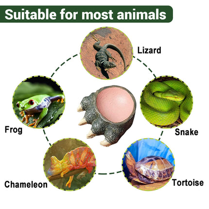 Lizard Claw Shaped Pet Food Water Bowl Durable Resin Non Slip Base Daily Use