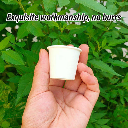 Small Paper Tasting Cups 100pcs White 30ml Disposable Sampling Drink Cups