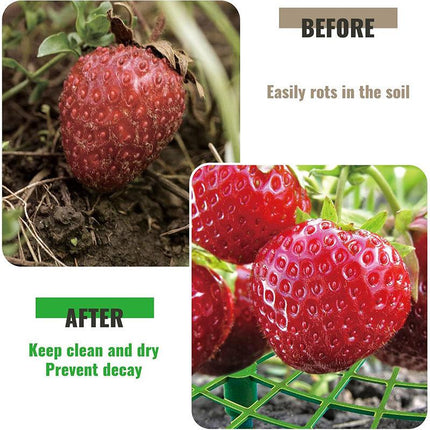 Strawberry Planting Shelf Garden Tools Vegetable Cultivation Rack Potted Stand