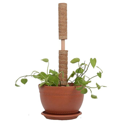 6pcs Plant Support Coir Moss Totem Pole Creeper Climbing Extension Stick Goody