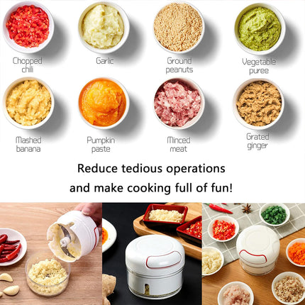 Home Mini Manual Garlic Beater Mincer Chili Ginger Meat Mash Food Prep Tool