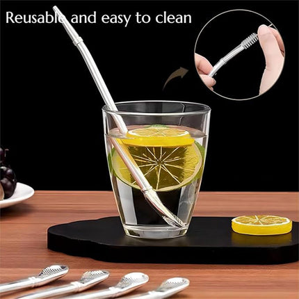 5pcs Stainless Steel Straw Spoon Removable Filter Reusable Tea Juice Stirrer