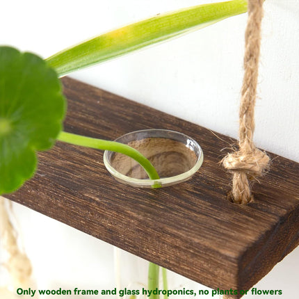 Wall Mounted Hydroponic Test Tube for Home Office Indoor Garden Decorative Vase