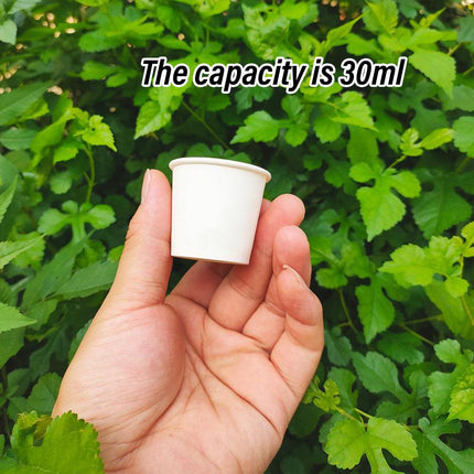 Small Paper Tasting Cups 100pcs White 30ml Disposable Sampling Drink Cups