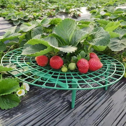 Strawberry Planting Shelf Garden Tools Vegetable Cultivation Rack Potted Stand