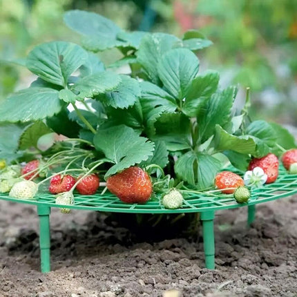 Strawberry Planting Shelf Garden Tools Vegetable Cultivation Rack Potted Stand