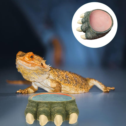Lizard Claw Shaped Pet Food Water Bowl Durable Resin Non Slip Base Daily Use