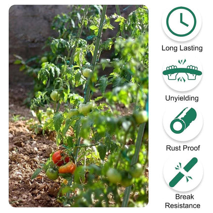 Garden Plant Support Stakes 120cm 36pcs or 180cm 12pcs