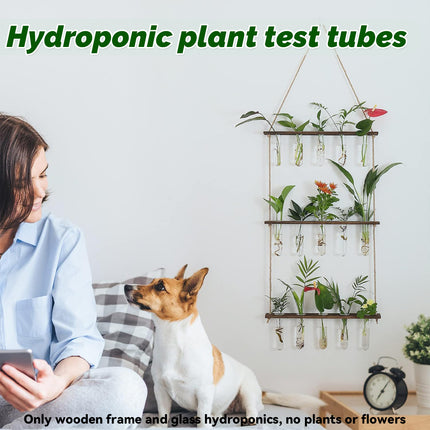 Wall Mounted Hydroponic Test Tube for Home Office Indoor Garden Decorative Vase