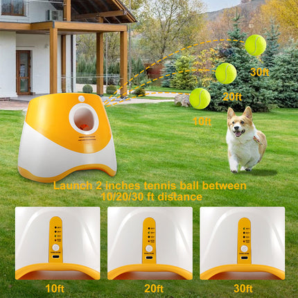 Pet Ball Thrower Elastic Launcher Dog Toy Automatic Ball Interactive Play