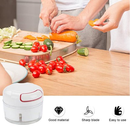 Home Mini Manual Garlic Beater Mincer Chili Ginger Meat Mash Food Prep Tool