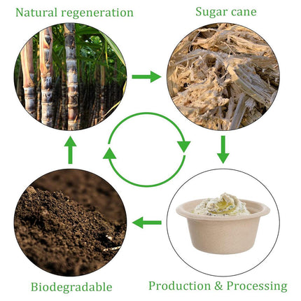 100PCS Biodegradable Pulp Sauce Cups Disposable Condiment Containers with Lids