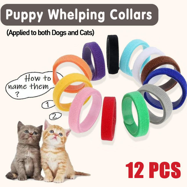 12 Colours Collar Bands Pet Puppy Kitten Identification Collar Tags - Aimall