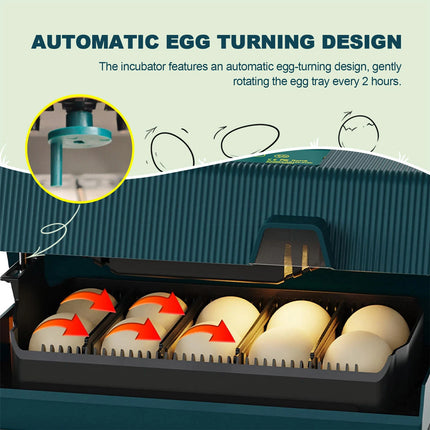 House Shaped Egg Incubator Automatic 10 Eggs Breeding Machine Chicken Duck Goose