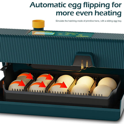 House Shaped Egg Incubator Automatic 10 Eggs Breeding Machine Chicken Duck Goose