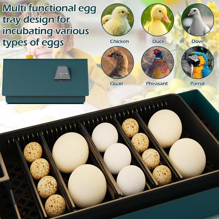 House Shaped Egg Incubator Automatic 10 Eggs Breeding Machine Chicken Duck Goose
