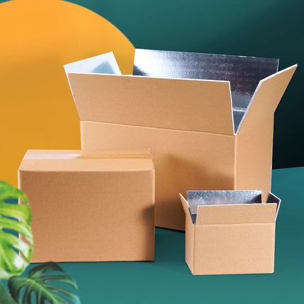 10pcs Insulated Carton Cold Chain Packaging Box Seafood Fresh Fruits Storage