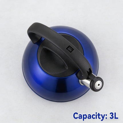 Stainless Steel Whistling Kettle Induction Heat Resistant Handle Home Tea Pot