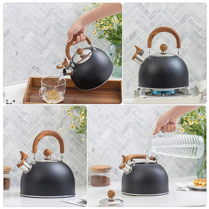 2.5L Matte Black Whistling Kettle Foldable Handle Stainless Steel Gas Electric