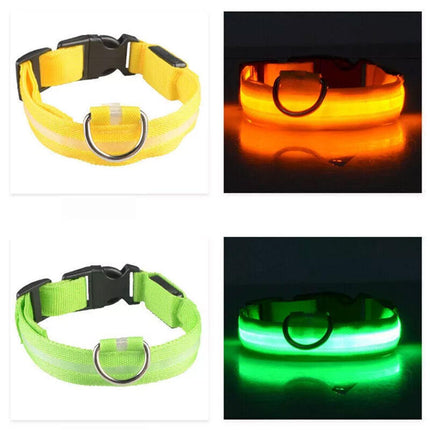 S Size USB Rechargeable LED Dog Collar Nylon Glow Flashing Light Up Safety Pet Collars