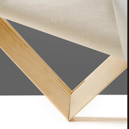 6x Artist Canvas Blank Stretched Canvases Art Large White Range Oil Acrylic Wood