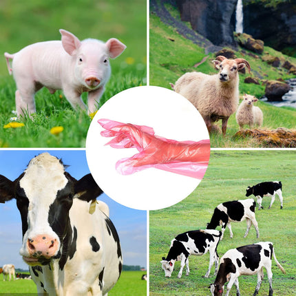 50pcs Clear Long Arm Glove Plastic Farm Glove Disposable Vet Glove Midwifery