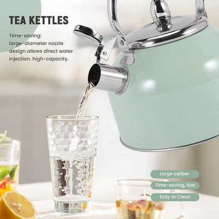 Stainless Steel Kettle 2.5L Household Water Boiler Anti Scalding Tea Pot Durable