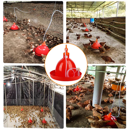 Automatic Water Feeder Bottle for Chicken Duck Goose Poultry Drinking Coop Tool