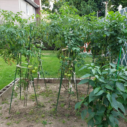 Garden Plant Support Stakes 120cm 36pcs or 180cm 12pcs