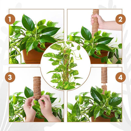 6pcs Plant Support Coir Moss Totem Pole Creeper Climbing Extension Stick Goody