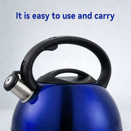 Stainless Steel Whistling Kettle Induction Heat Resistant Handle Home Tea Pot