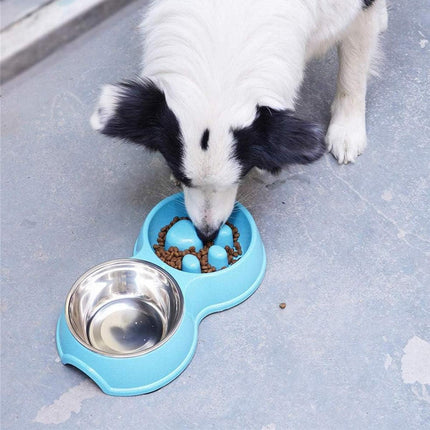 Dog Bowl Anti Choking Slow Feeder Cat Food Dish Double Bowl Pet Feeding Utensils