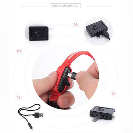S Size USB Rechargeable LED Dog Collar Nylon Glow Flashing Light Up Safety Pet Collars