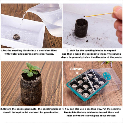 10 Plant Seeds Grow Box Propagation Nursery Garden Seedling Starter Tray 12 Hole