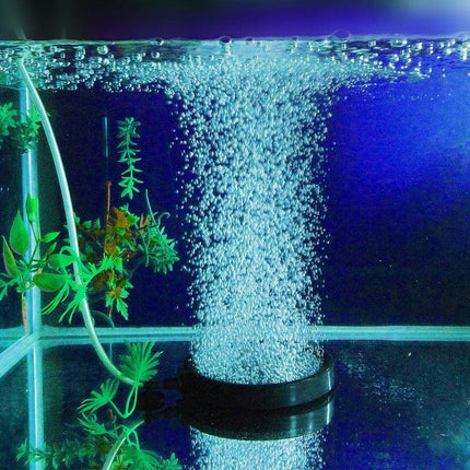 Air Bubble Disk Stone Aquarium Aerator Fish Tank Pump Hydroponics Oxygen