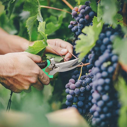 3PCS Stainless Steel Garden Shears Set Multi Function for Pruning Trimming Plants