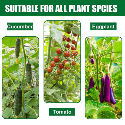 Garden Plant Support Stakes 120cm 36pcs or 180cm 12pcs
