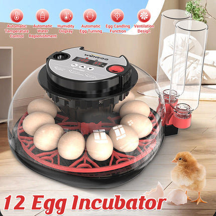 12 Egg Small Home Chicken Incubator Digital Automatic for Poultry Hatching