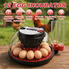 12 Egg Small Home Chicken Incubator Digital Automatic for Poultry Hatching