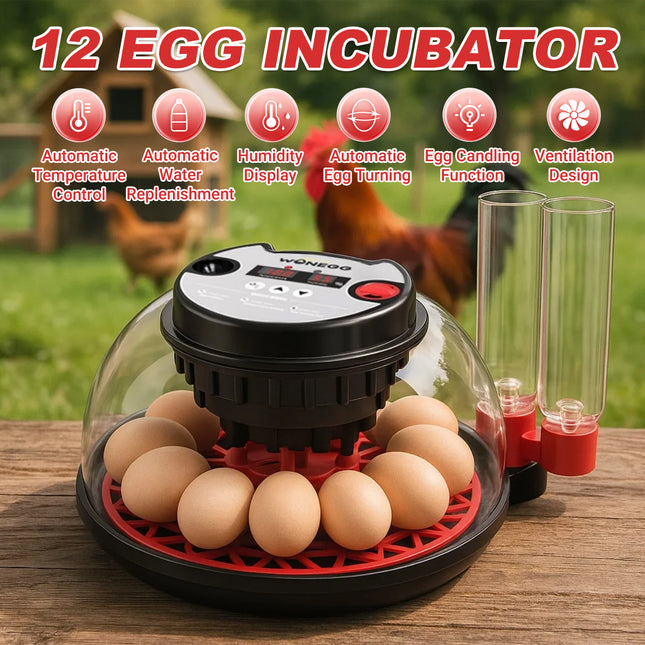 12 Egg Small Home Chicken Incubator Digital Automatic for Poultry Hatching