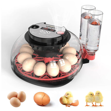 12 Egg Small Home Chicken Incubator Digital Automatic for Poultry Hatching