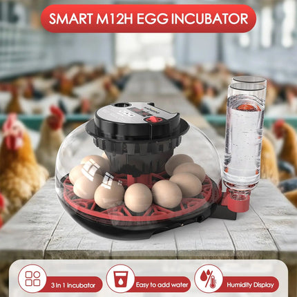 12 Egg Small Home Chicken Incubator Digital Automatic for Poultry Hatching